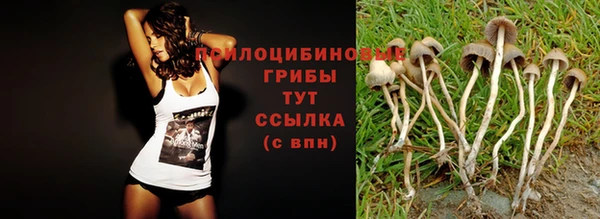 каннабис Абинск