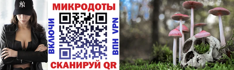 Галлюциногенные грибы GOLDEN TEACHER  Терек 